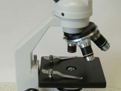 mikroskopio.jpg